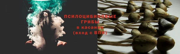 PSILOCYBIN Абинск