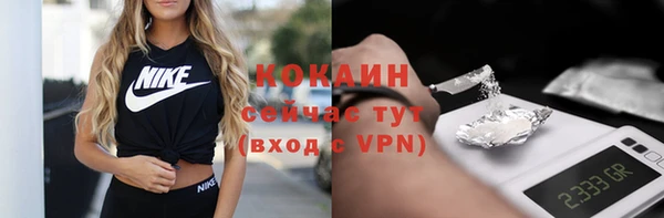 спайс Няндома