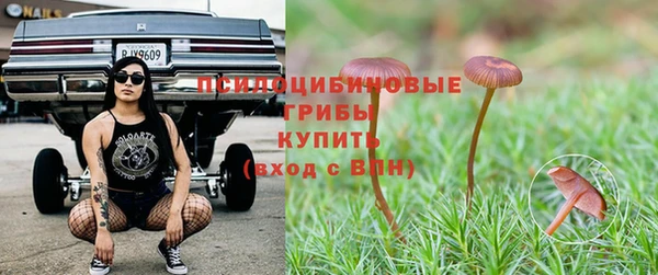 герыч Аркадак