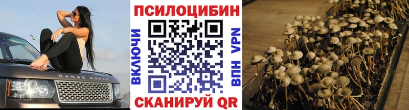Псилоцибиновые грибы мицелий Пыталово